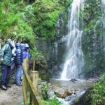 Dhoon Glen Waterfall